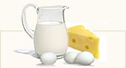 Dairy