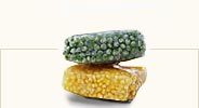 Frozen Foods